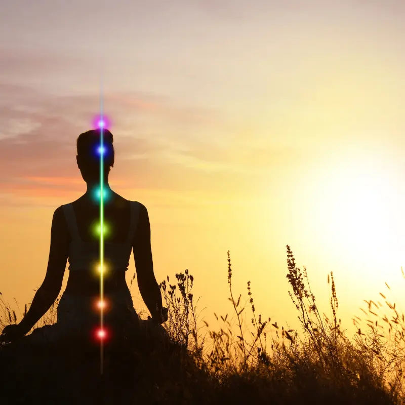 Personne en train de méditer dans la nature avec visualisation des énergies des 7 chakras dans son corps